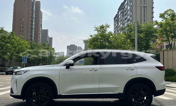 Buy New Haval H6 White Car in Bishkek in Bishkek Buy New Haval H6 White Car in Bishkek in Bishkek