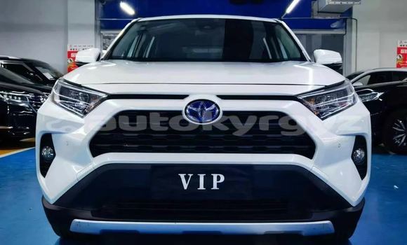 Buy New Toyota RAV4 White Car in Bishkek in Bishkek Buy New Toyota RAV4 White Car in Bishkek in Bishkek