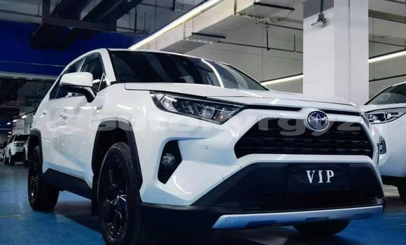 Buy New Toyota RAV4 White Car in Bishkek in Bishkek Buy New Toyota RAV4 White Car in Bishkek in Bishkek