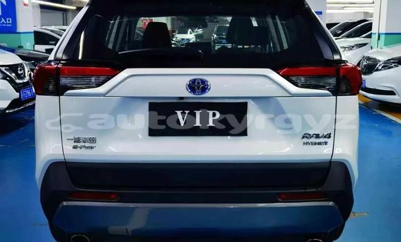 Buy New Toyota RAV4 White Car in Bishkek in Bishkek Buy New Toyota RAV4 White Car in Bishkek in Bishkek