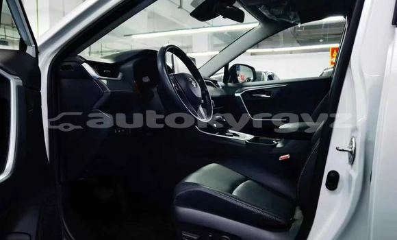 Buy New Toyota RAV4 White Car in Bishkek in Bishkek Buy New Toyota RAV4 White Car in Bishkek in Bishkek