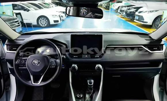 Buy New Toyota RAV4 White Car in Bishkek in Bishkek Buy New Toyota RAV4 White Car in Bishkek in Bishkek