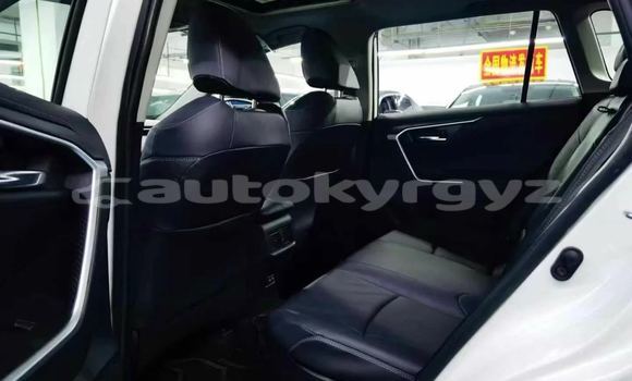 Buy New Toyota RAV4 White Car in Bishkek in Bishkek Buy New Toyota RAV4 White Car in Bishkek in Bishkek