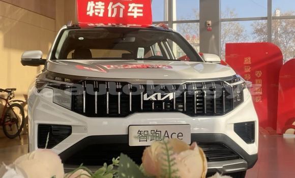 Buy New Kia Potentia White Car in Bishkek in Bishkek Buy New Kia Potentia White Car in Bishkek in Bishkek