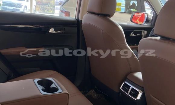Buy New Kia Potentia White Car in Bishkek in Bishkek Buy New Kia Potentia White Car in Bishkek in Bishkek