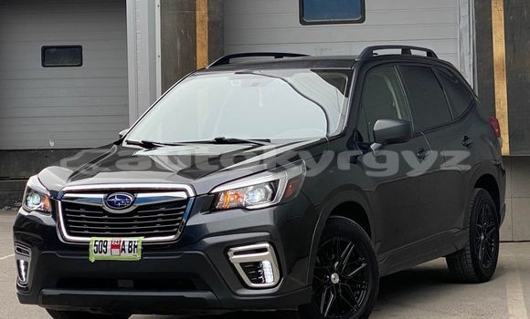 Buy Used Subaru Forester Black Car in Ala Buka in Jalal-Abad
