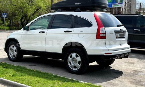 Buy Used Honda CR–V White Car in Balykchy in Issyk-Kul Buy Used Honda CR–V White Car in Balykchy in Issyk-Kul