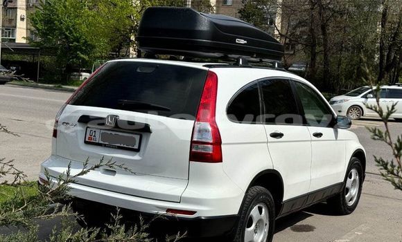 Buy Used Honda CR–V White Car in Balykchy in Issyk-Kul Buy Used Honda CR–V White Car in Balykchy in Issyk-Kul