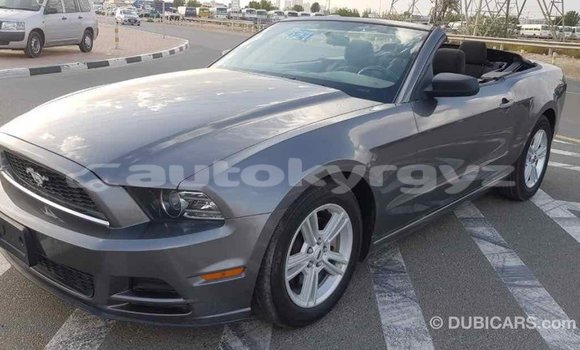 Buy Import Ford Mustang Other Car in Import - Dubai in Batken Buy Import Ford Mustang Other Car in Import - Dubai in Batken