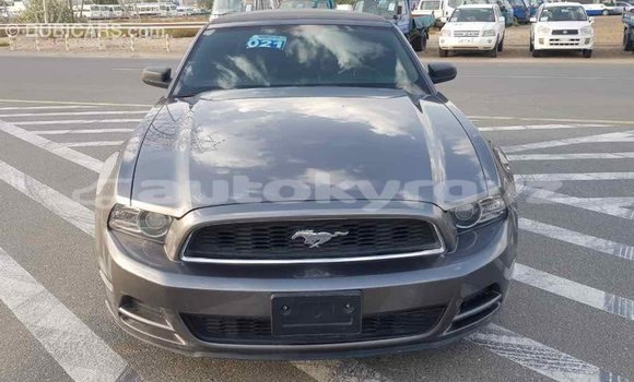 Buy Import Ford Mustang Other Car in Import - Dubai in Batken Buy Import Ford Mustang Other Car in Import - Dubai in Batken