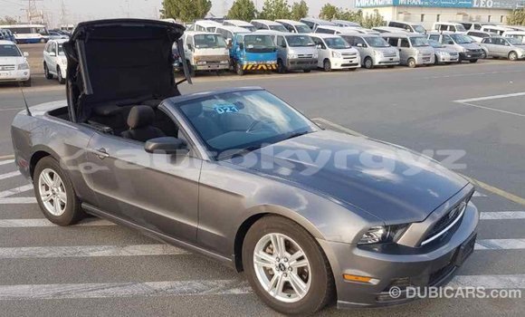 Buy Import Ford Mustang Other Car in Import - Dubai in Batken Buy Import Ford Mustang Other Car in Import - Dubai in Batken