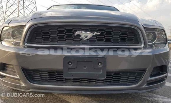 Buy Import Ford Mustang Other Car in Import - Dubai in Batken Buy Import Ford Mustang Other Car in Import - Dubai in Batken