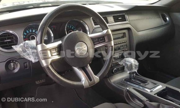 Buy Import Ford Mustang Other Car in Import - Dubai in Batken Buy Import Ford Mustang Other Car in Import - Dubai in Batken