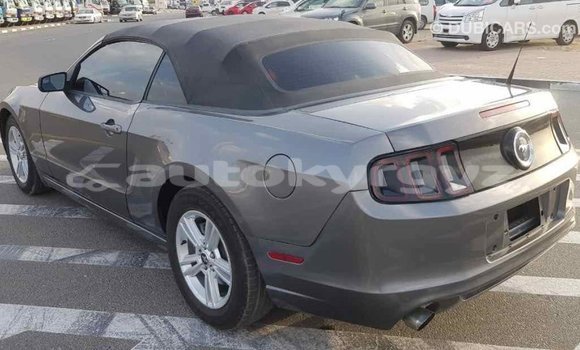 Buy Import Ford Mustang Other Car in Import - Dubai in Batken Buy Import Ford Mustang Other Car in Import - Dubai in Batken