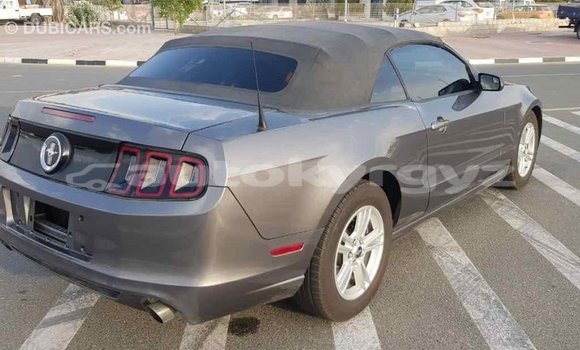 Buy Import Ford Mustang Other Car in Import - Dubai in Batken Buy Import Ford Mustang Other Car in Import - Dubai in Batken