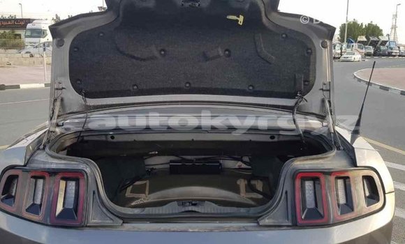 Buy Import Ford Mustang Other Car in Import - Dubai in Batken Buy Import Ford Mustang Other Car in Import - Dubai in Batken