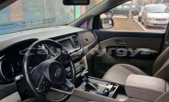 Buy Used Kia Carnival Black Car in Bishkek in Bishkek Buy Used Kia Carnival Black Car in Bishkek in Bishkek