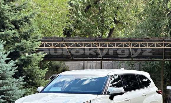 Buy Used Toyota Highlander White Car in Bishkek in Bishkek