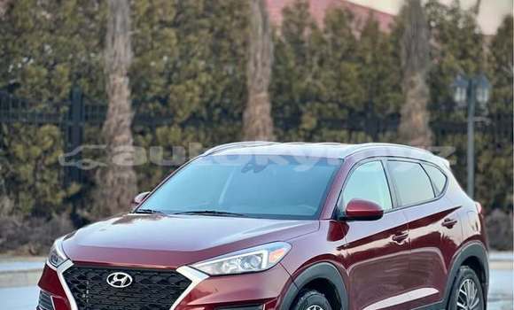 Buy Used Hyundai Tucson Red Car in Bishkek in Bishkek Buy Used Hyundai Tucson Red Car in Bishkek in Bishkek