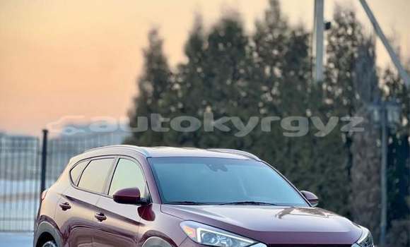 Buy Used Hyundai Tucson Red Car in Bishkek in Bishkek Buy Used Hyundai Tucson Red Car in Bishkek in Bishkek