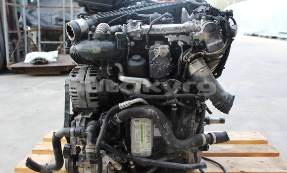 Medium with watermark s l16003