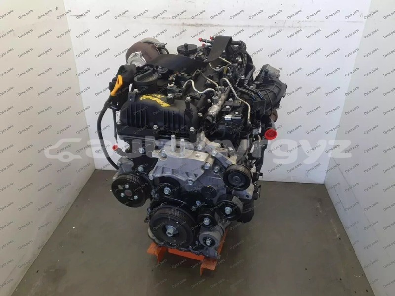 Big with watermark 1