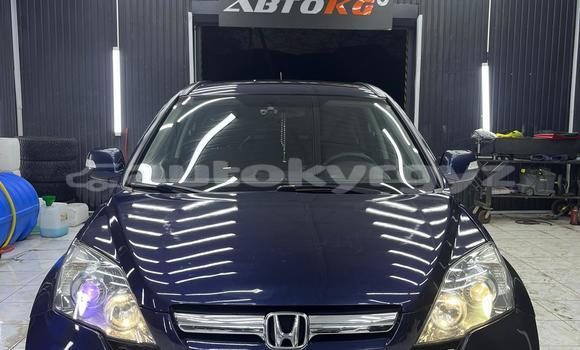 Buy Used Honda CR–V Blue Car in Bishkek in Bishkek Buy Used Honda CR–V Blue Car in Bishkek in Bishkek