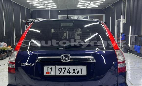 Buy Used Honda CR–V Blue Car in Bishkek in Bishkek Buy Used Honda CR–V Blue Car in Bishkek in Bishkek