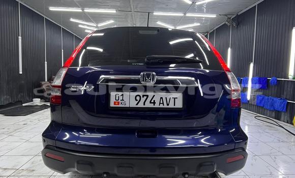 Buy Used Honda CR–V Blue Car in Bishkek in Bishkek Buy Used Honda CR–V Blue Car in Bishkek in Bishkek