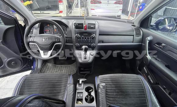 Buy Used Honda CR–V Blue Car in Bishkek in Bishkek Buy Used Honda CR–V Blue Car in Bishkek in Bishkek