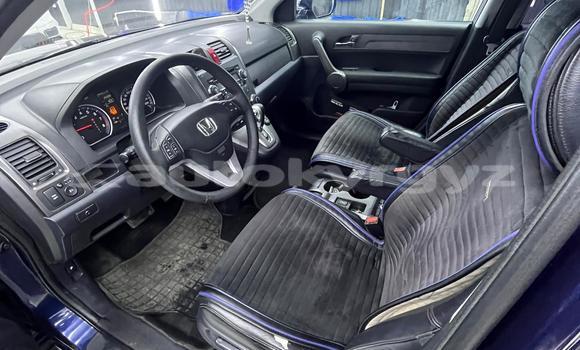 Buy Used Honda CR–V Blue Car in Bishkek in Bishkek Buy Used Honda CR–V Blue Car in Bishkek in Bishkek