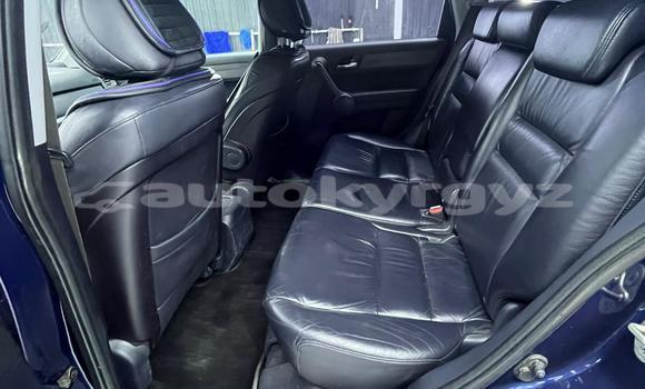 Buy Used Honda CR–V Blue Car in Bishkek in Bishkek Buy Used Honda CR–V Blue Car in Bishkek in Bishkek