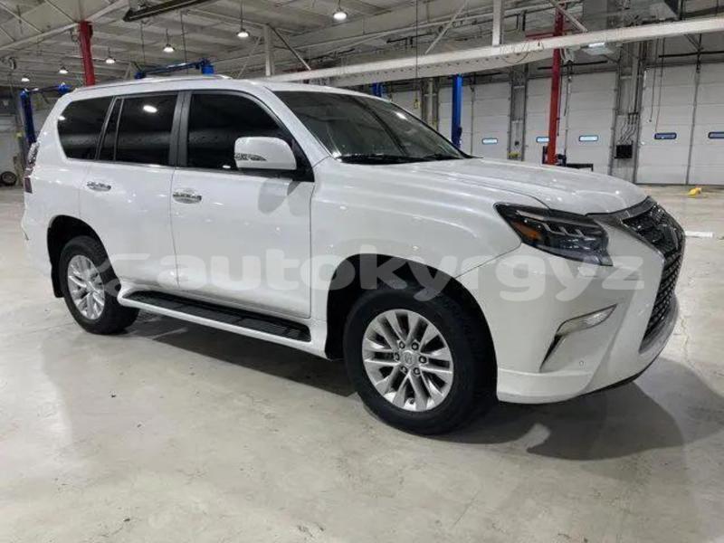 Big with watermark lexus gx talas klyuchevka 5473