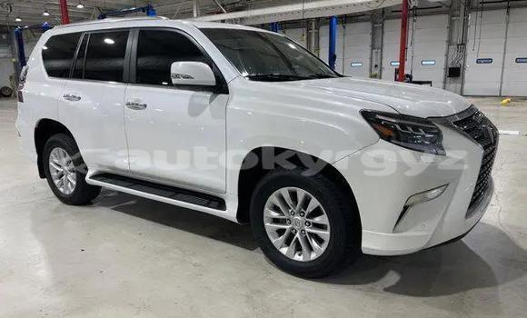 Buy Used Lexus GX White Car in Klyuchevka in Talas