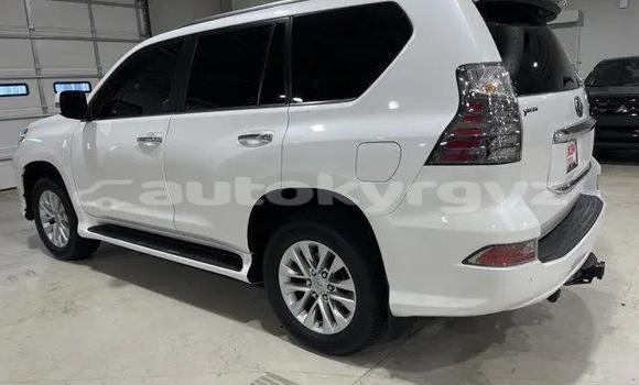 Buy Used Lexus GX White Car in Klyuchevka in Talas Buy Used Lexus GX White Car in Klyuchevka in Talas