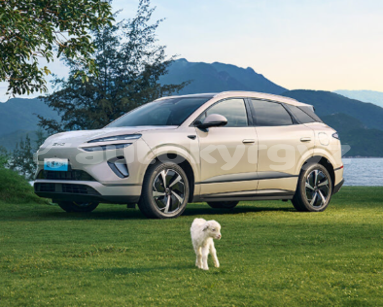 Big with watermark byd s6 chui jangypakhtar 5477