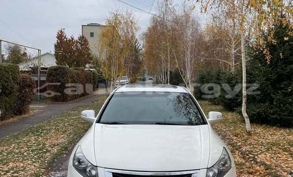 Buy Used Honda Accord White Car in Bishkek in Bishkek Buy Used Honda Accord White Car in Bishkek in Bishkek