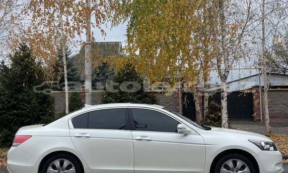 Buy Used Honda Accord White Car in Bishkek in Bishkek Buy Used Honda Accord White Car in Bishkek in Bishkek