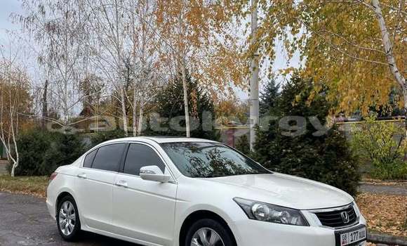 Buy Used Honda Accord White Car in Bishkek in Bishkek Buy Used Honda Accord White Car in Bishkek in Bishkek