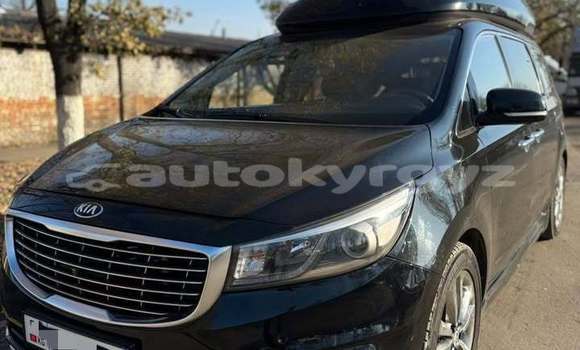 Buy Used Kia Carnival Black Car in Bishkek in Bishkek Buy Used Kia Carnival Black Car in Bishkek in Bishkek