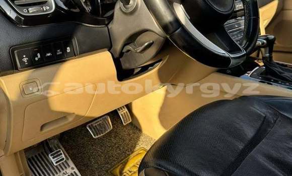 Buy Used Kia Carnival Black Car in Bishkek in Bishkek Buy Used Kia Carnival Black Car in Bishkek in Bishkek