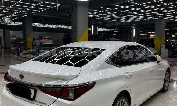 Buy Used Lexus ES White Car in Bishkek in Bishkek Buy Used Lexus ES White Car in Bishkek in Bishkek