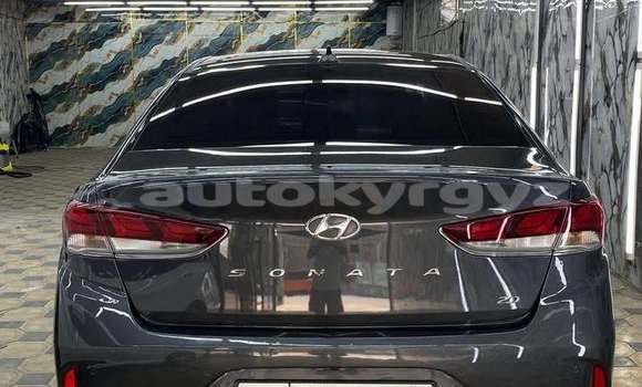 Buy Used Hyundai Sonata Black Car in Bishkek in Bishkek Buy Used Hyundai Sonata Black Car in Bishkek in Bishkek