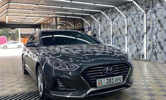 Buy Used Hyundai Sonata Black Car in Bishkek in Bishkek Buy Used Hyundai Sonata Black Car in Bishkek in Bishkek