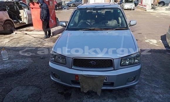 Buy Used Subaru Forester Silver Car in Bishkek in Bishkek