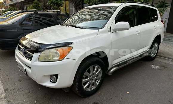 Buy Used Toyota RAV4 White Car in Bishkek in Bishkek