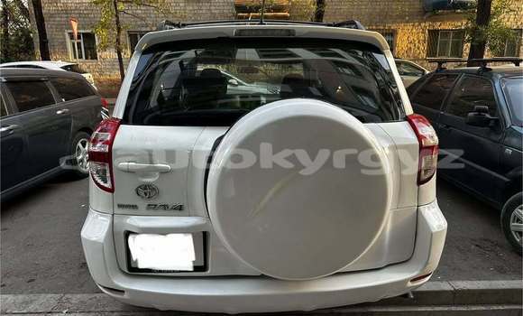 Buy Used Toyota RAV4 White Car in Bishkek in Bishkek Buy Used Toyota RAV4 White Car in Bishkek in Bishkek