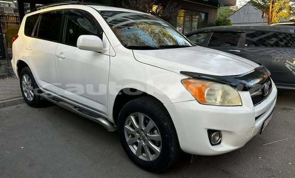 Buy Used Toyota RAV4 White Car in Bishkek in Bishkek Buy Used Toyota RAV4 White Car in Bishkek in Bishkek