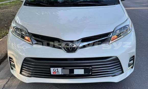 Buy Used Toyota Sienna White Car in Bishkek in Bishkek