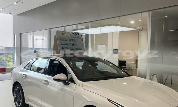 Buy New Kia K5 White Car in Bishkek in Bishkek